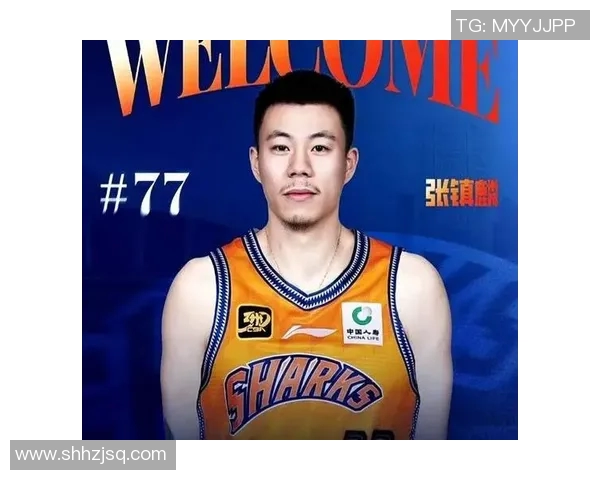 辽宁男篮面临伤病困扰韩德君张镇麟状态堪忧杨鸣战术调整迫在眉睫